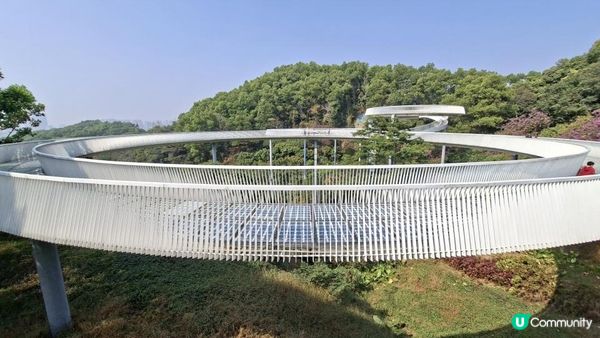 【深圳光明區打卡篇】大頂嶺綠道的浮橋、探橋、懸橋及虹橋公園