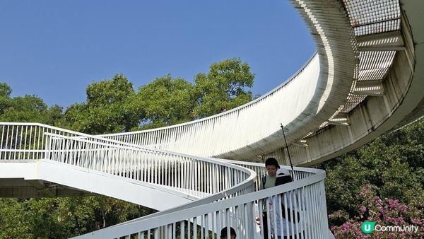 【深圳光明區打卡篇】大頂嶺綠道的浮橋、探橋、懸橋及虹橋公園