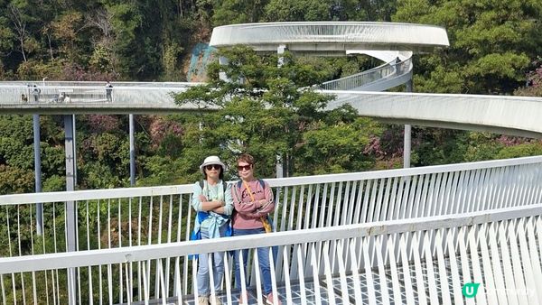 【深圳光明區打卡篇】大頂嶺綠道的浮橋、探橋、懸橋及虹橋公園