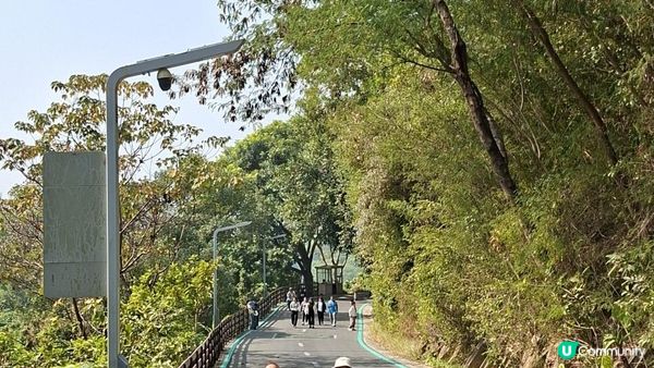 【深圳光明區打卡篇】大頂嶺綠道的浮橋、探橋、懸橋及虹橋公園