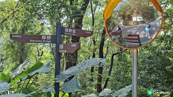 【深圳光明區打卡篇】大頂嶺綠道的浮橋、探橋、懸橋及虹橋公園