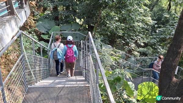 【深圳光明區打卡篇】大頂嶺綠道的浮橋、探橋、懸橋及虹橋公園