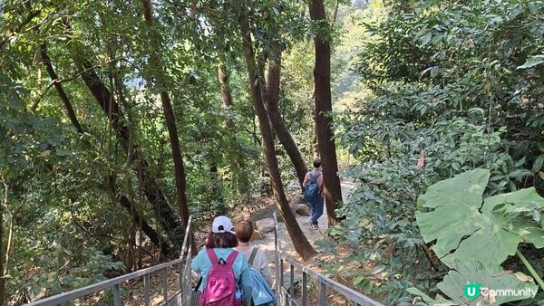 【深圳光明區打卡篇】大頂嶺綠道的浮橋、探橋、懸橋及虹橋公園