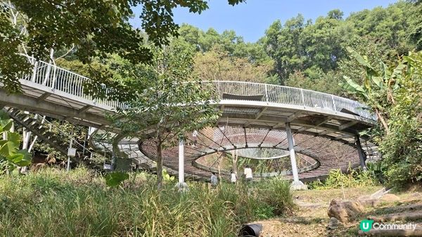 【深圳光明區打卡篇】大頂嶺綠道的浮橋、探橋、懸橋及虹橋公園