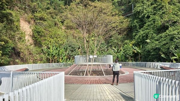 【深圳光明區打卡篇】大頂嶺綠道的浮橋、探橋、懸橋及虹橋公園