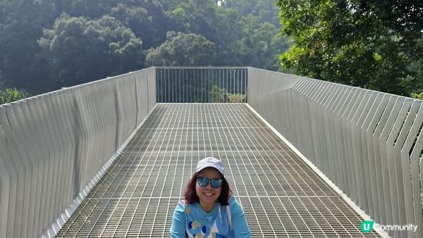 【深圳光明區打卡篇】大頂嶺綠道的浮橋、探橋、懸橋及虹橋公園