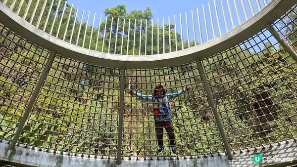 【深圳光明區打卡篇】大頂嶺綠道的浮橋、探橋、懸橋及虹橋公園