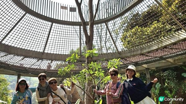 【深圳光明區打卡篇】大頂嶺綠道的浮橋、探橋、懸橋及虹橋公園