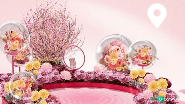 今年新城市廣場既新年裝飾全部都係粉紅色，加埋沙田既唔同風景，...