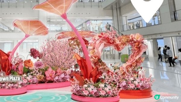 今年新城市廣場既新年裝飾全部都係粉紅色，加埋沙田既唔同風景，...