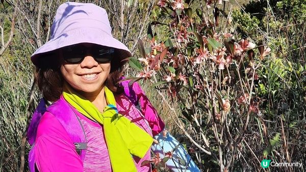 【西貢行山篇】大蛇頂、大蛇灣村、企人石、183燈塔