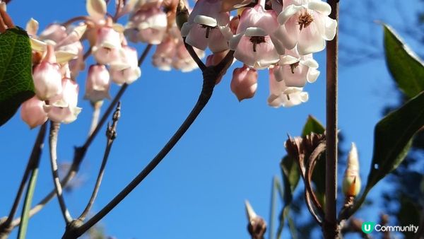【西貢行山篇】大蛇頂、大蛇灣村、企人石、183燈塔