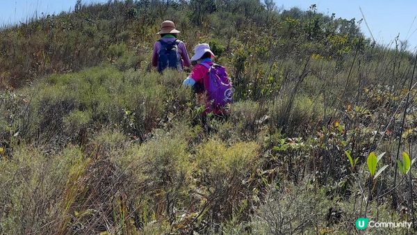 【西貢行山篇】大蛇頂、大蛇灣村、企人石、183燈塔