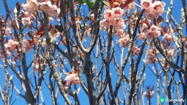 【西貢行山篇】大蛇頂、大蛇灣村、企人石、183燈塔