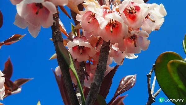 【西貢行山篇】大蛇頂、大蛇灣村、企人石、183燈塔