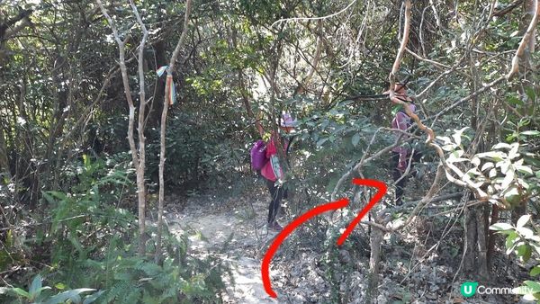 【西貢行山篇】大蛇頂、大蛇灣村、企人石、183燈塔