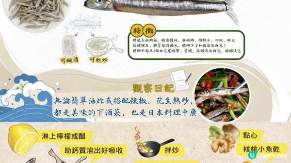 #神級補鈣！鈣質比牛奶高20倍🐟 #丁香魚