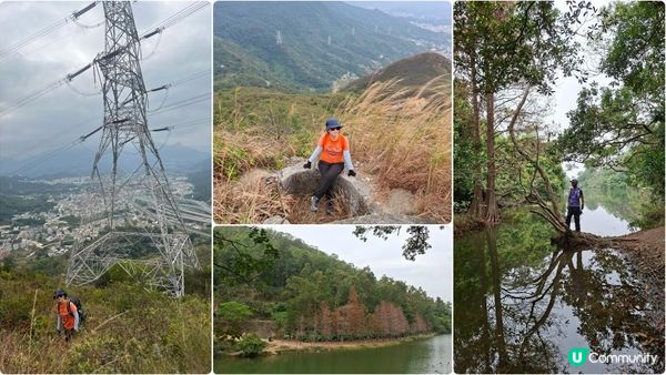 【粉嶺九龍坑站至丹竹坑行山篇】尖峰峒、龍山、鶴藪觀景台