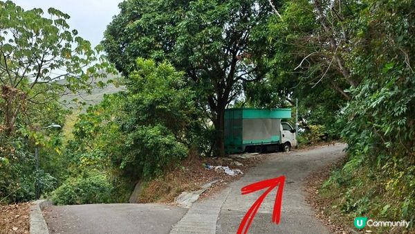 【粉嶺九龍坑站至丹竹坑行山篇】尖峰峒、龍山、鶴藪觀景台