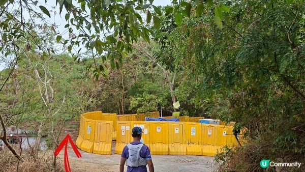 【粉嶺九龍坑站至丹竹坑行山篇】尖峰峒、龍山、鶴藪觀景台