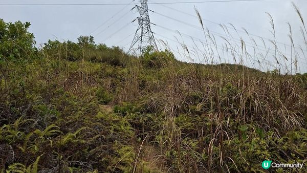 【粉嶺九龍坑站至丹竹坑行山篇】尖峰峒、龍山、鶴藪觀景台