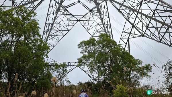 【粉嶺九龍坑站至丹竹坑行山篇】尖峰峒、龍山、鶴藪觀景台
