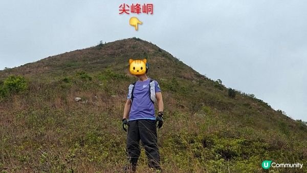 【粉嶺九龍坑站至丹竹坑行山篇】尖峰峒、龍山、鶴藪觀景台