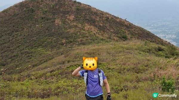 【粉嶺九龍坑站至丹竹坑行山篇】尖峰峒、龍山、鶴藪觀景台