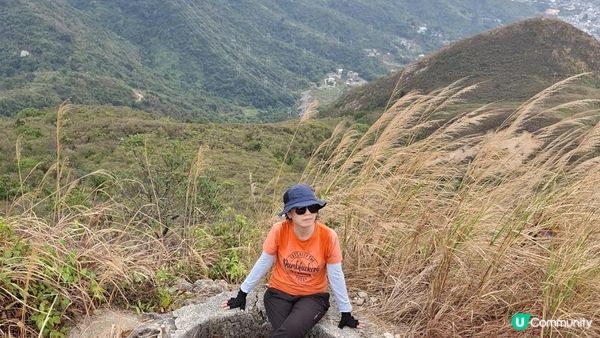【粉嶺九龍坑站至丹竹坑行山篇】尖峰峒、龍山、鶴藪觀景台