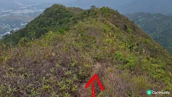 【粉嶺九龍坑站至丹竹坑行山篇】尖峰峒、龍山、鶴藪觀景台