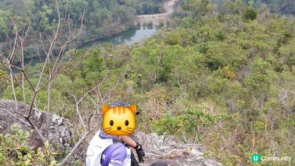【粉嶺九龍坑站至丹竹坑行山篇】尖峰峒、龍山、鶴藪觀景台
