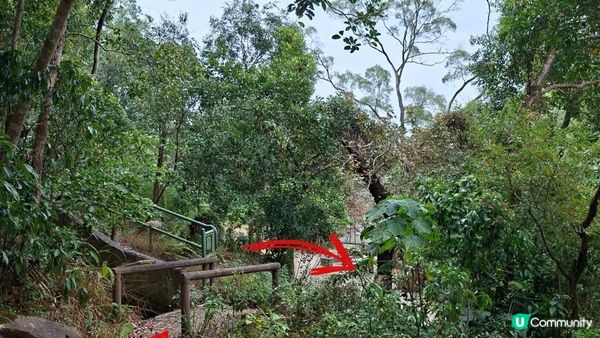 【粉嶺九龍坑站至丹竹坑行山篇】尖峰峒、龍山、鶴藪觀景台