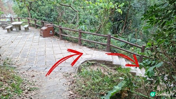 【粉嶺九龍坑站至丹竹坑行山篇】尖峰峒、龍山、鶴藪觀景台