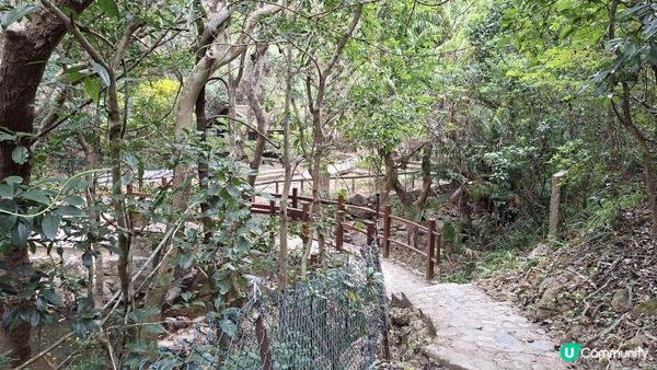 【粉嶺九龍坑站至丹竹坑行山篇】尖峰峒、龍山、鶴藪觀景台