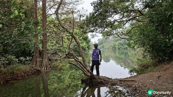 【粉嶺九龍坑站至丹竹坑行山篇】尖峰峒、龍山、鶴藪觀景台