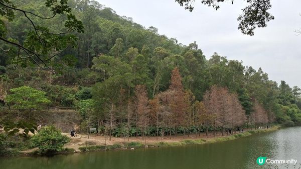 【粉嶺九龍坑站至丹竹坑行山篇】尖峰峒、龍山、鶴藪觀景台