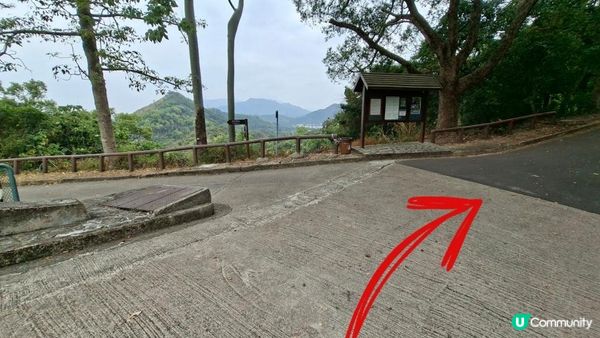 【粉嶺九龍坑站至丹竹坑行山篇】尖峰峒、龍山、鶴藪觀景台