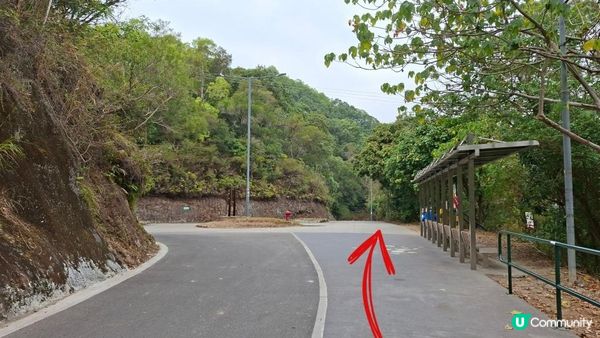 【粉嶺九龍坑站至丹竹坑行山篇】尖峰峒、龍山、鶴藪觀景台