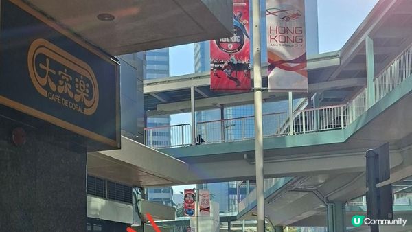 【畢拉山道至勵德邨行山篇】懸空棧道、渣甸山、小馬山、龜石、紅香爐峰