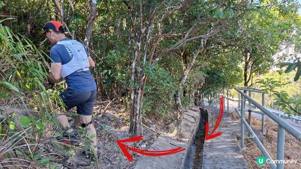 【畢拉山道至勵德邨行山篇】懸空棧道、渣甸山、小馬山、龜石、紅香爐峰