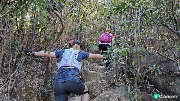 【畢拉山道至勵德邨行山篇】懸空棧道、渣甸山、小馬山、龜石、紅香爐峰