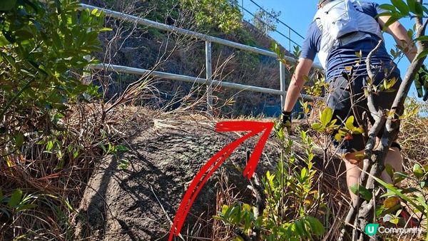 【畢拉山道至勵德邨行山篇】懸空棧道、渣甸山、小馬山、龜石、紅香爐峰