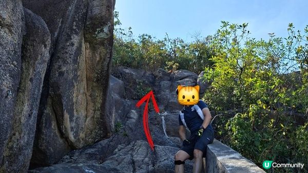 【畢拉山道至勵德邨行山篇】懸空棧道、渣甸山、小馬山、龜石、紅香爐峰