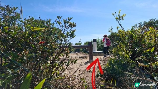 【畢拉山道至勵德邨行山篇】懸空棧道、渣甸山、小馬山、龜石、紅香爐峰