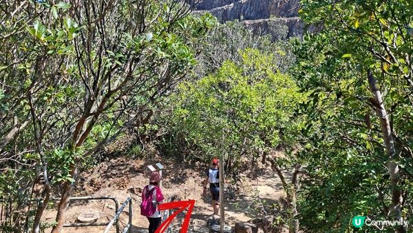 【畢拉山道至勵德邨行山篇】懸空棧道、渣甸山、小馬山、龜石、紅香爐峰