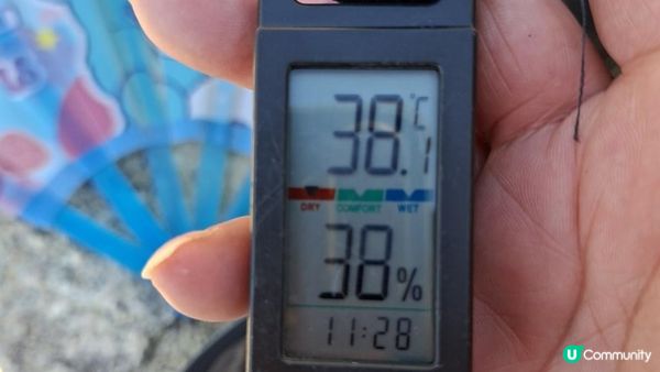 【畢拉山道至勵德邨行山篇】懸空棧道、渣甸山、小馬山、龜石、紅香爐峰