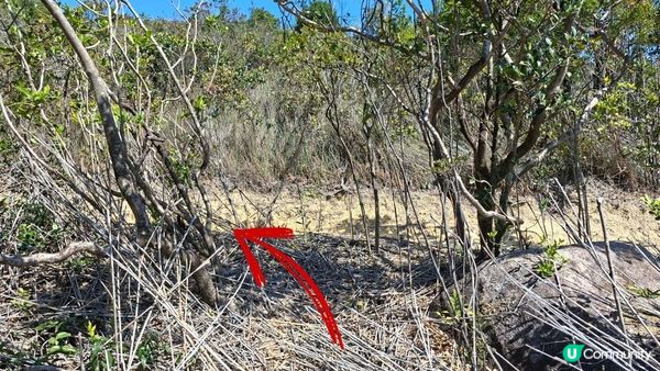 【畢拉山道至勵德邨行山篇】懸空棧道、渣甸山、小馬山、龜石、紅香爐峰