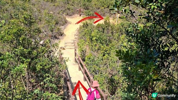 【畢拉山道至勵德邨行山篇】懸空棧道、渣甸山、小馬山、龜石、紅香爐峰