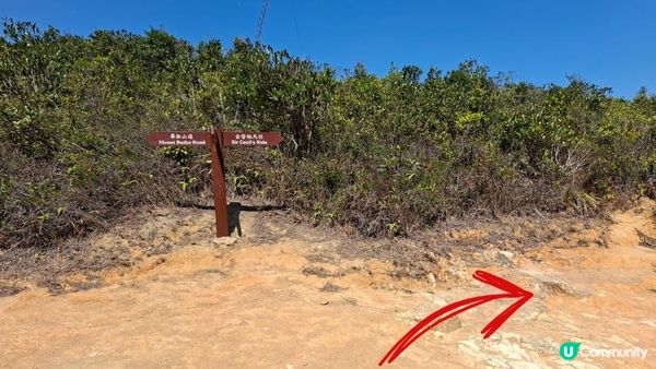 【畢拉山道至勵德邨行山篇】懸空棧道、渣甸山、小馬山、龜石、紅香爐峰