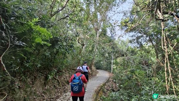 【西貢白沙澳至深涌碼頭行山篇】南山洞、明愛賽馬會小塘營、荔枝莊古道、蛇石、深涌大草原 + Go Park水上快線